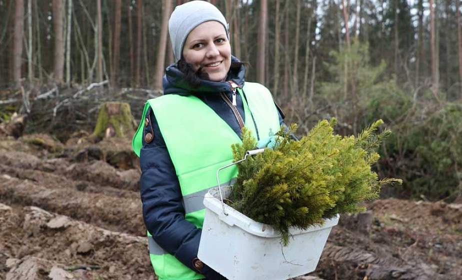 Неделя леса пройдет на Гродненщине