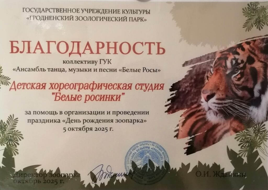 Концерт С днём варенья! при участии студии Белые росинки