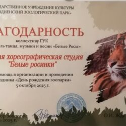 Концерт С днём варенья! при участии студии Белые росинки