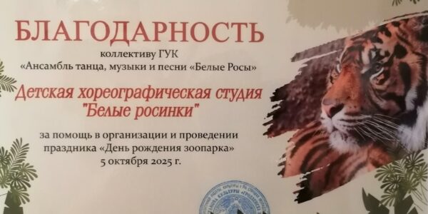 Концерт С днём варенья! при участии студии Белые росинки